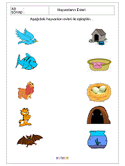 Hayvanlar Çalışma Sayfaları